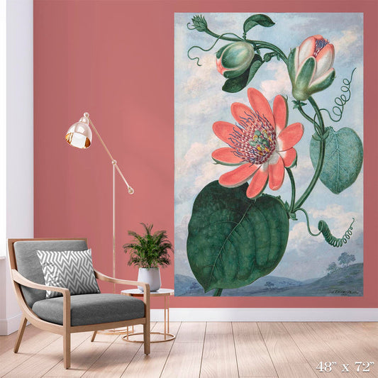 Passion Flower Colossal Art Print