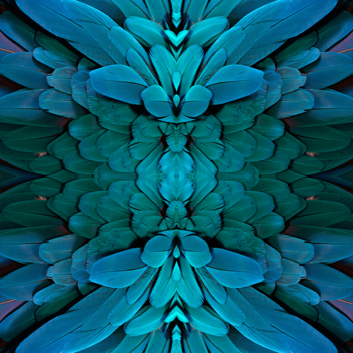 Plume - Amazonian - The Detroit Wallpaper Co.