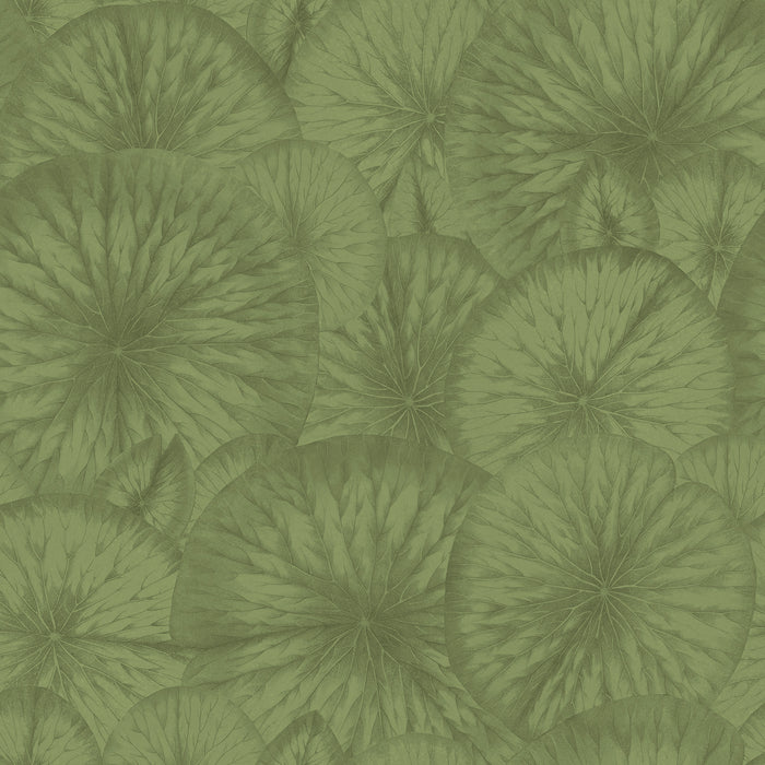 Pond - Grassy <br> Wallpaper - The Detroit Wallpaper Co.