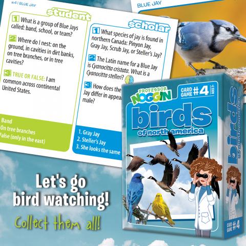 Professor Noggin: Birds of North America