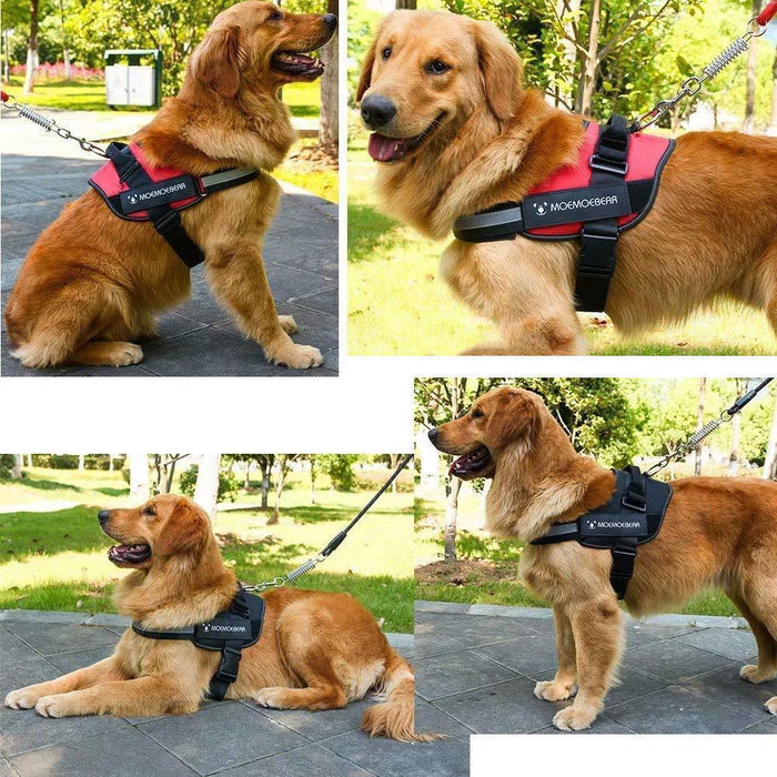 black / XS