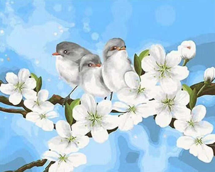 Spring Birds Paint by Numbers
