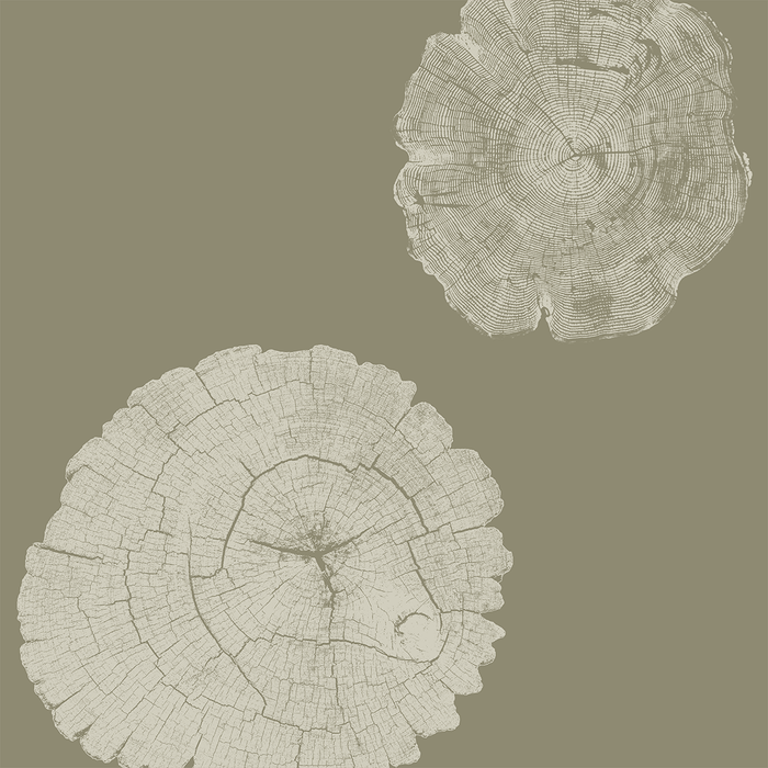 Stumped - Trailhead - Trendy Custom Wallpaper | Contemporary Wallpaper Designs | The Detroit Wallpaper Co.
