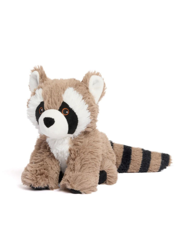 Racoon