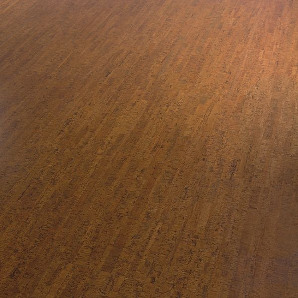 Wicanders Cork GO Allure natural cork plank close-up showing texture and grain