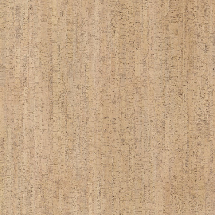 Wicanders Cork GO Charm natural cork plank close-up showing texture and grain