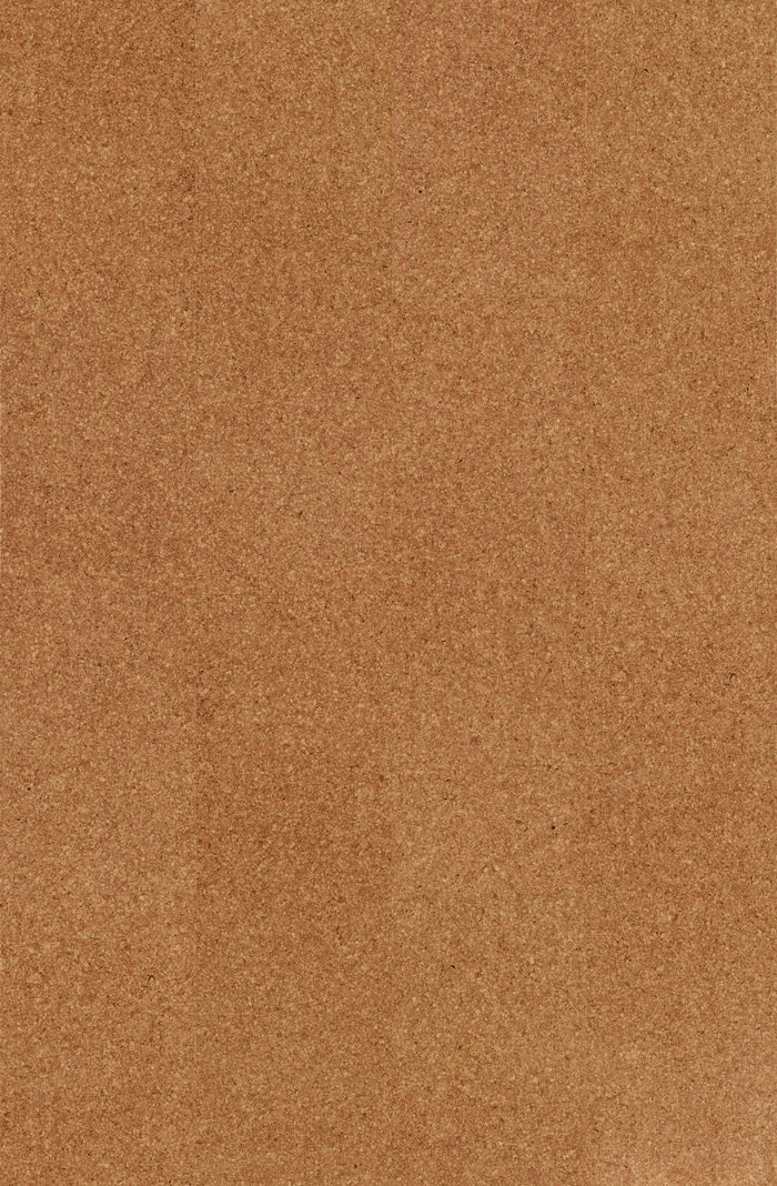 Wicanders Cork GO Classic Moment natural cork plank close-up showing texture and grain