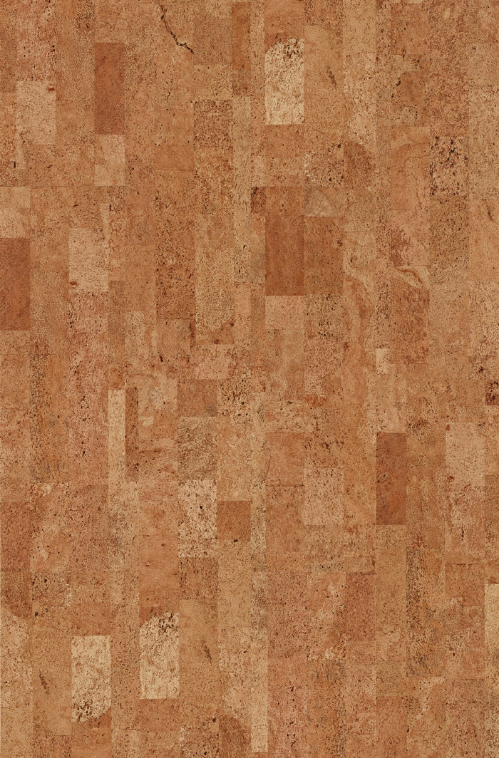 Wicanders Cork GO Desire natural cork plank close-up showing texture and grain