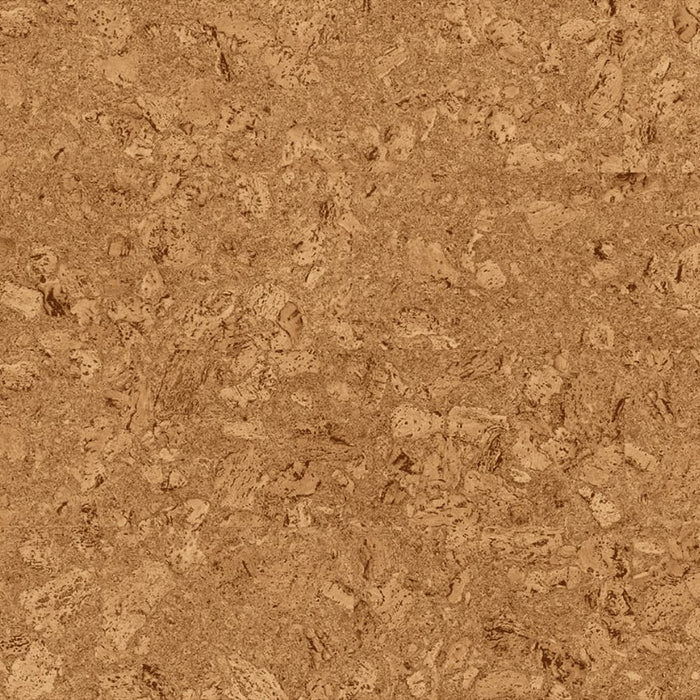 Wicanders Cork GO Originals Dawn natural cork plank close-up showing texture and grain