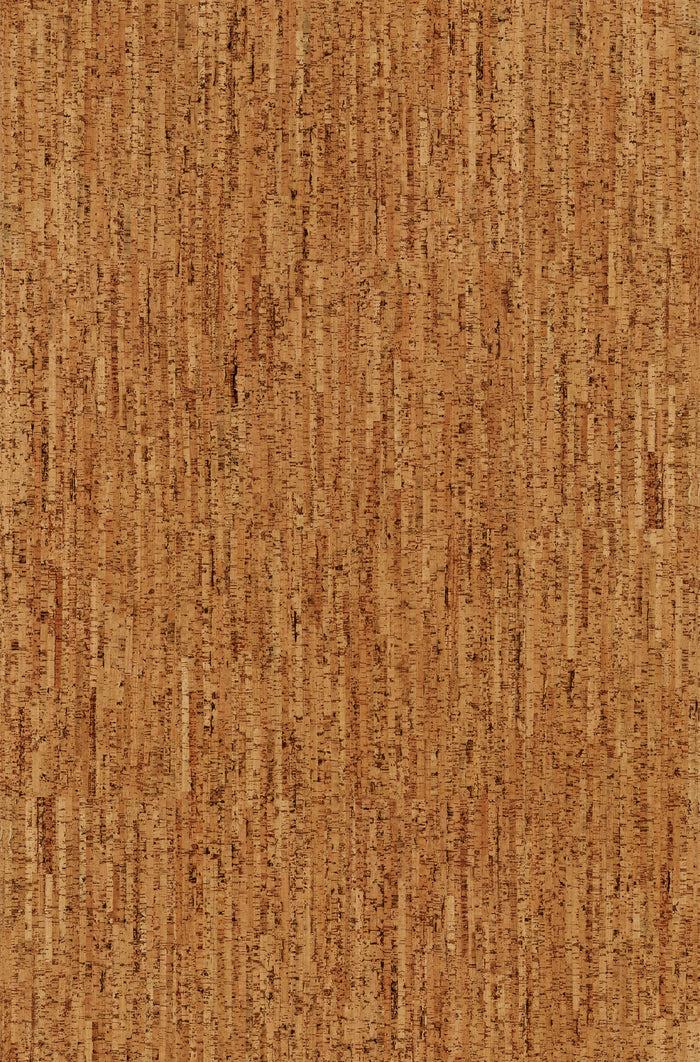 Wicanders Cork GO Whim natural cork plank close-up showing texture and grain